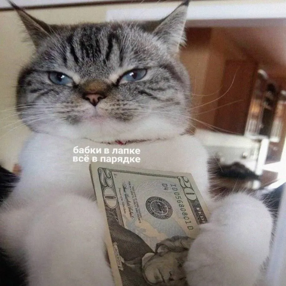 Сколько можно заработать на Telegram-канале в 2025 году? | Сетка — социальная сеть от hh.ru