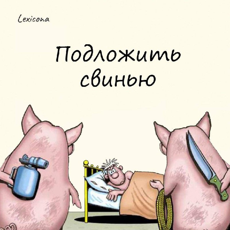 Подложить свинью
Свинья в русском языке вообще самое оскорбленное животное. Как только не говорят: и "грязный, как свинья", и "нажрался как свинья", и "поступил по-свински" и тд | Сетка — социальная сеть от hh.ru
