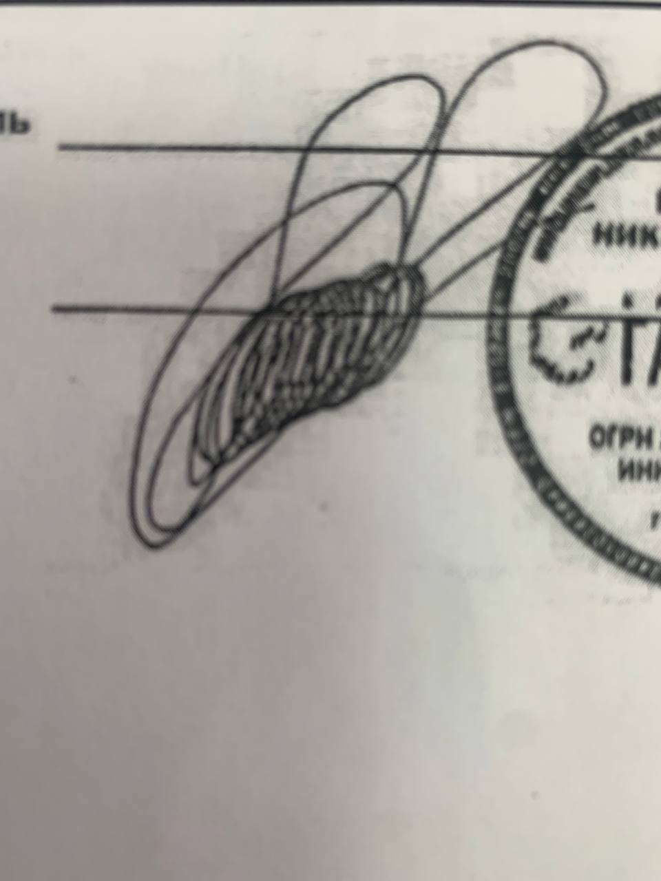 Вы знаете, что я коллекционирую почерки и подписи. Смотрите, какую уникальную мне прислали. Что можете сказать о человеке по его подписи? | Сетка — социальная сеть от hh.ru