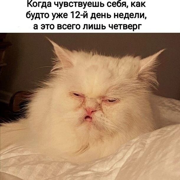 Всем прекрасной пятницы 🤍 | Сетка — социальная сеть от hh.ru