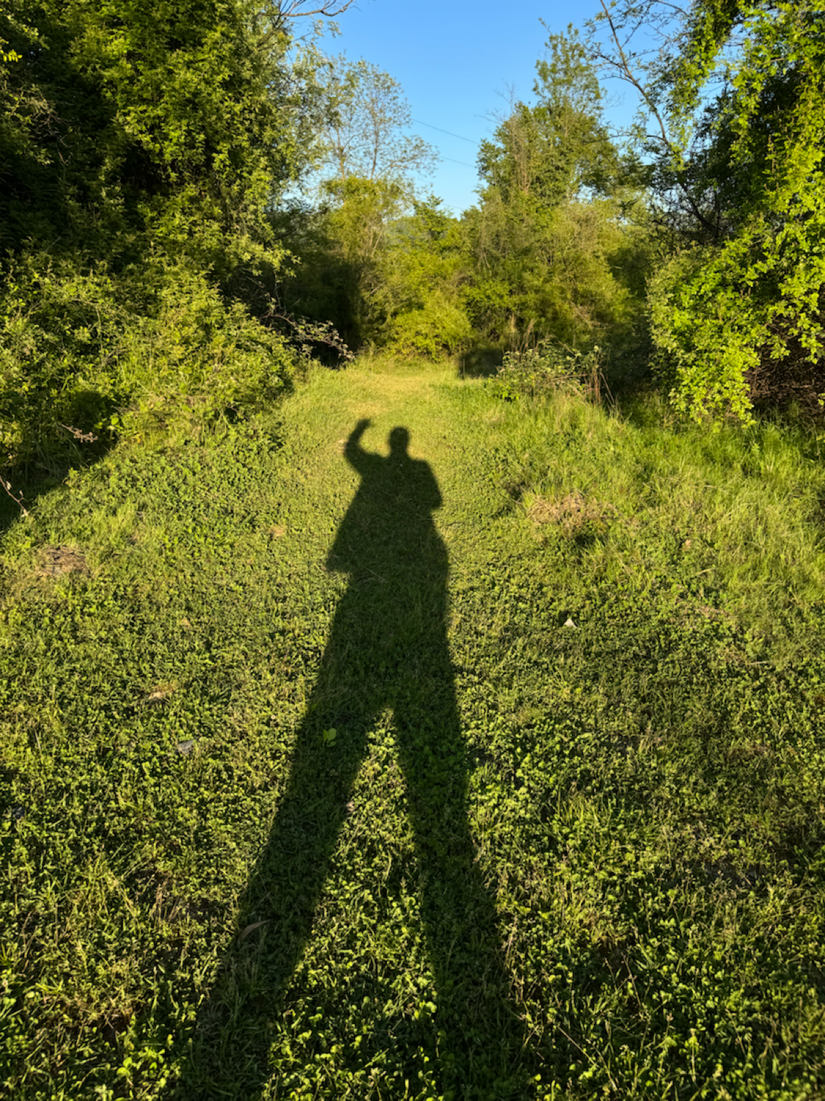 Выходите из зоны комфорта: 5 шагов к настоящим переменам!" | Сетка — социальная сеть от hh.ru