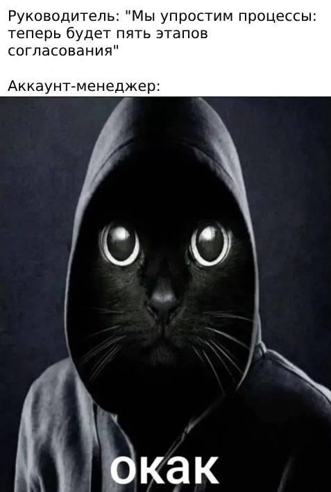 Окак | Сетка — социальная сеть от hh.ru