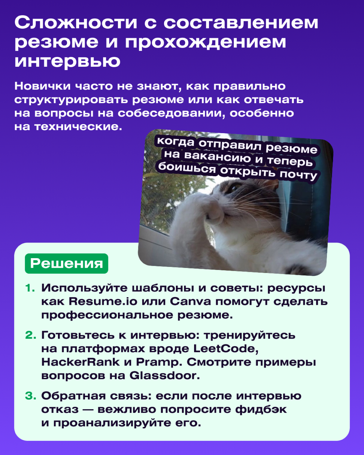 Собесы в IT и их проблемы | Сетка — социальная сеть от hh.ru