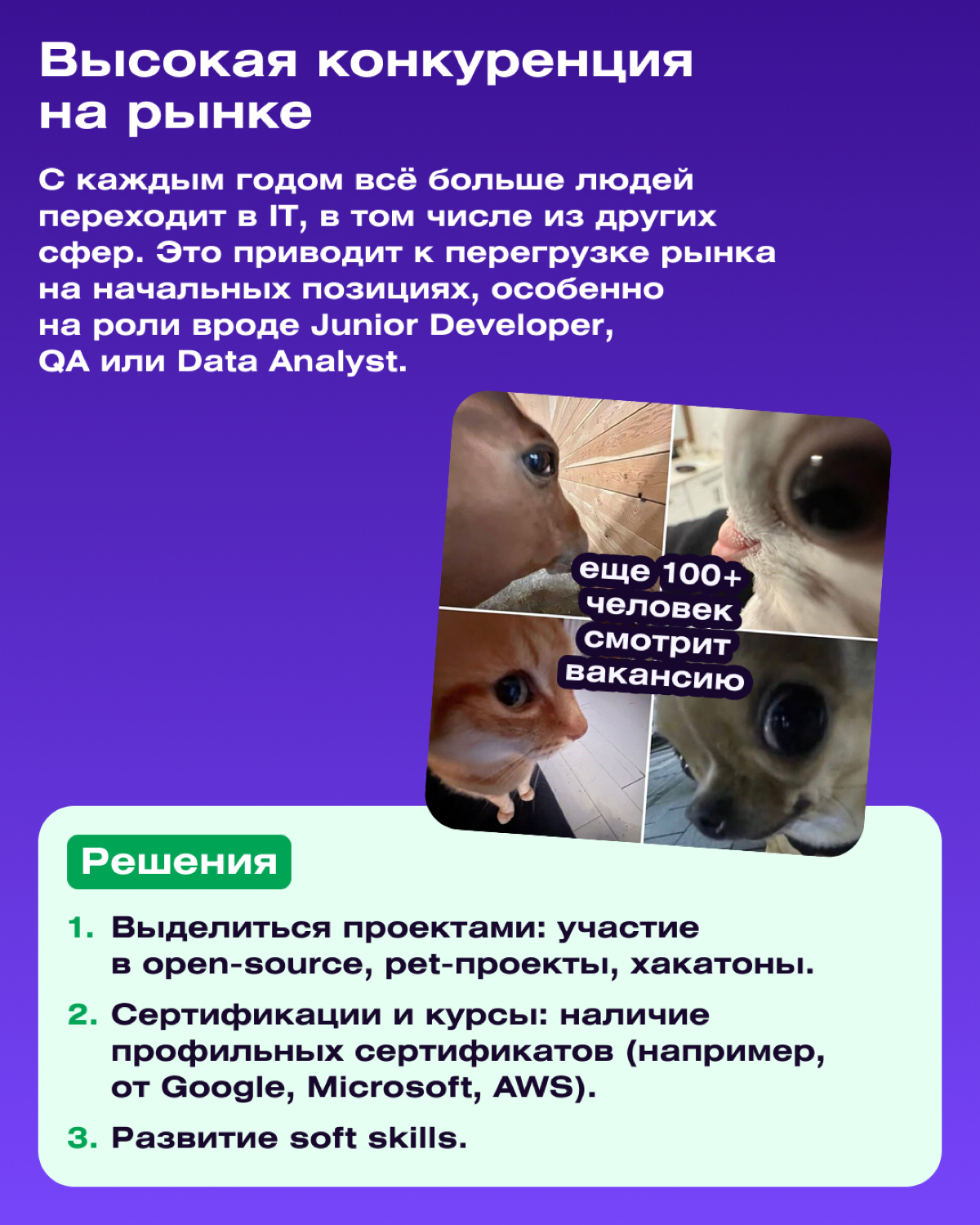 Собесы в IT и их проблемы | Сетка — социальная сеть от hh.ru