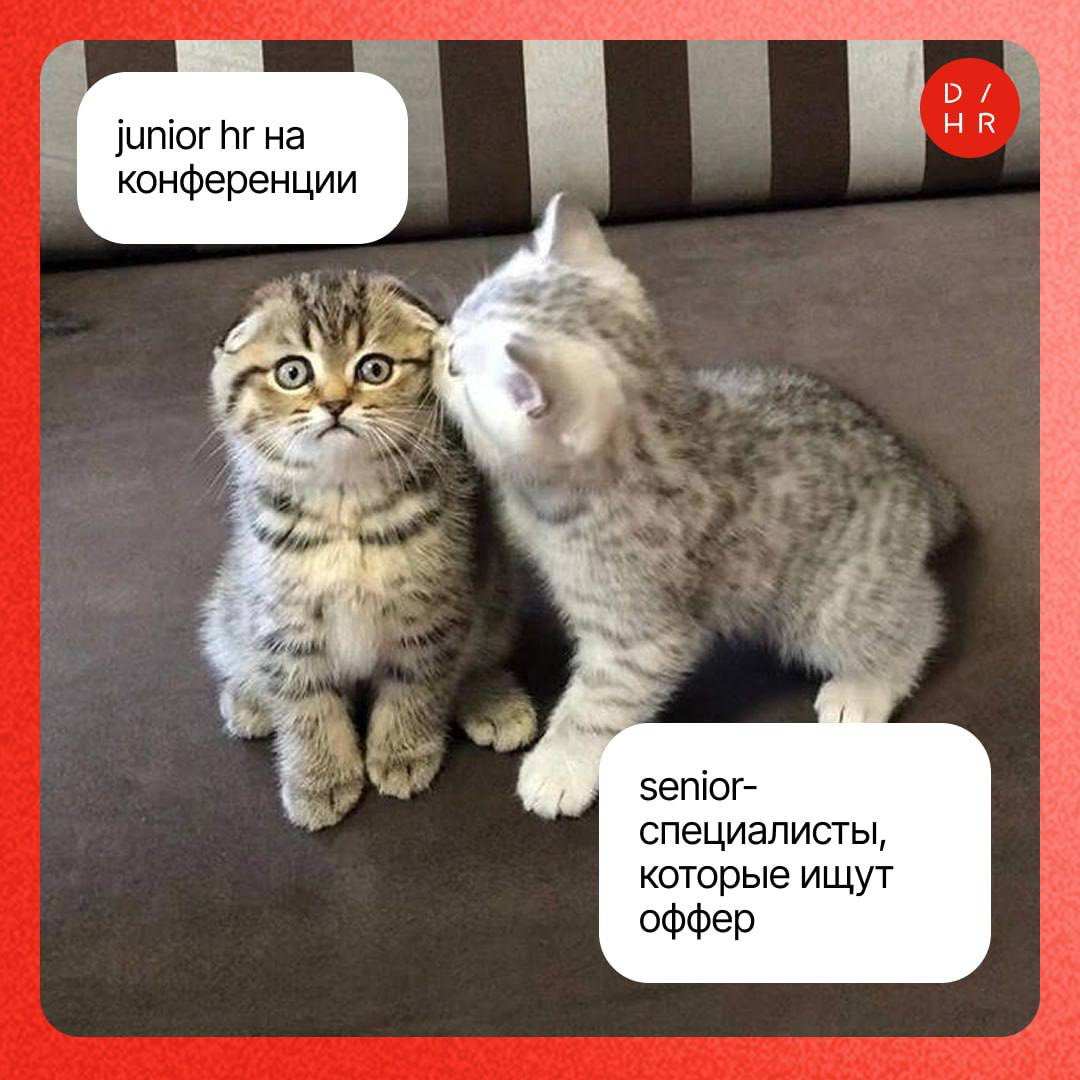 Сила нетворкинга: зачем ходить на конференции. | Сетка — социальная сеть от hh.ru