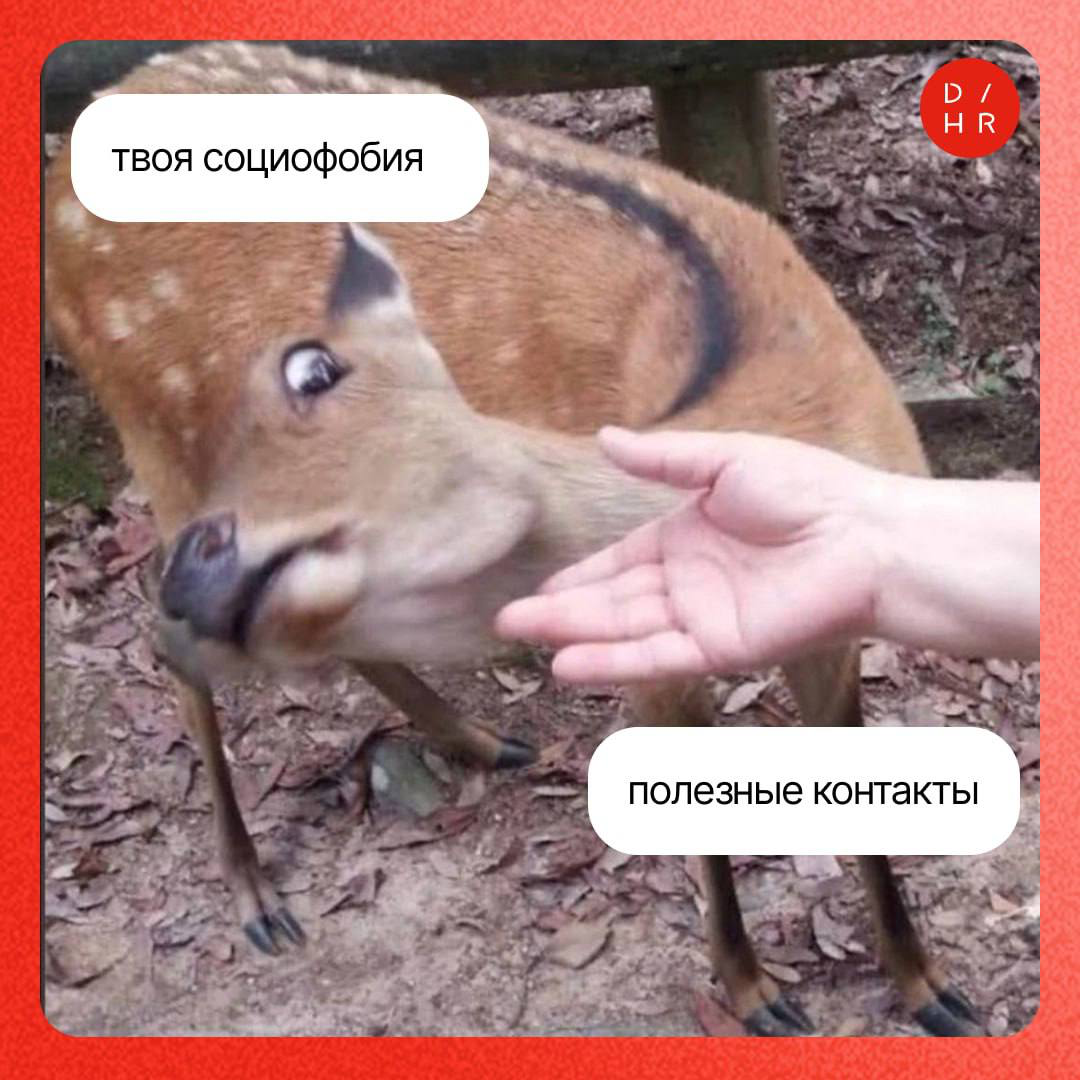 Сила нетворкинга: зачем ходить на конференции. | Сетка — социальная сеть от hh.ru