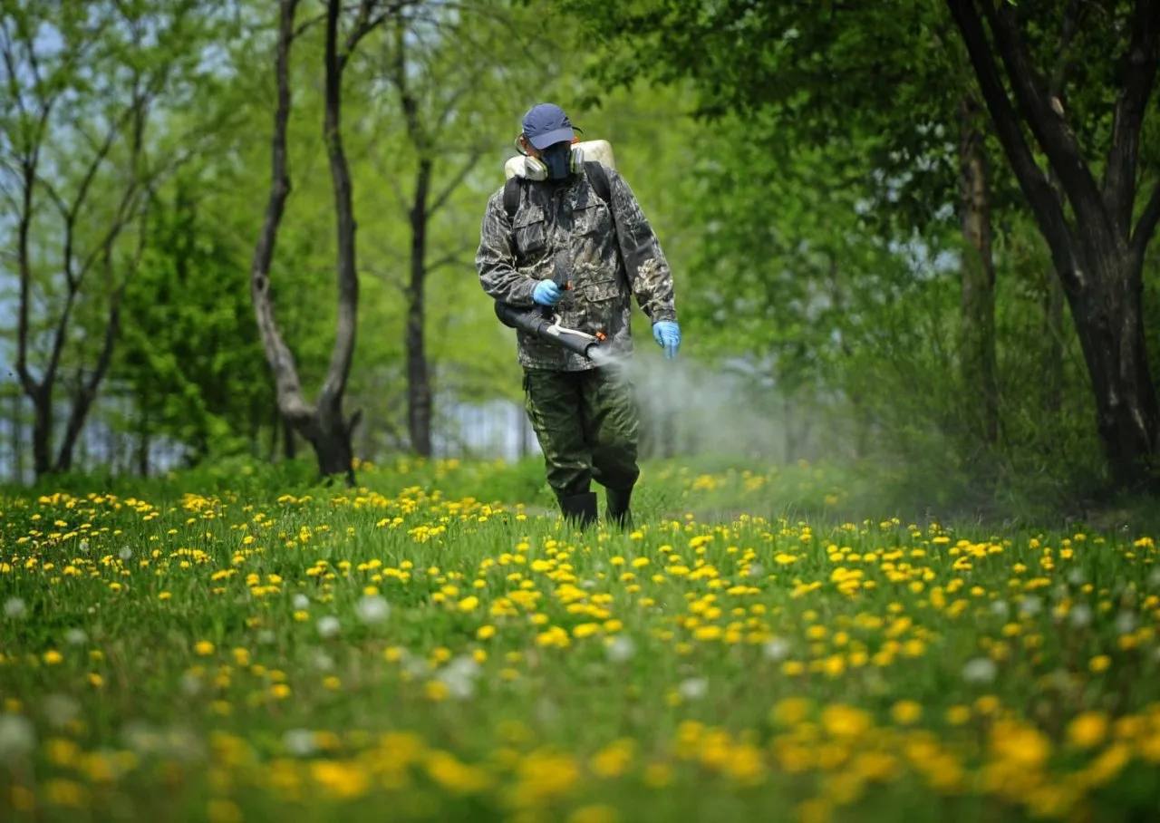 🕷️В московских парках завершили обработку от клещей
Роспотребнадзор сообщает о проведении профилактических мероприятий в столичных зонах отдыха.
📲Подпишитесь на Вдвижении
#активныйотдых | Сетка — социальная сеть от hh.ru