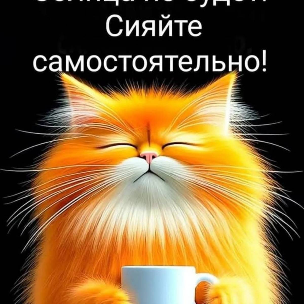 Александр Димитриевич