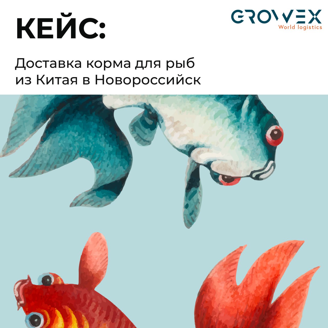 КЕЙС GROWEX: доставка корма для рыб
Клиент и задача: наш клиент — поставщик товаров для животных, который запросил доставку необычного груза - корма для рыбок.
Маршрут: Китай → Новороссийск | Сетка — социальная сеть от hh.ru