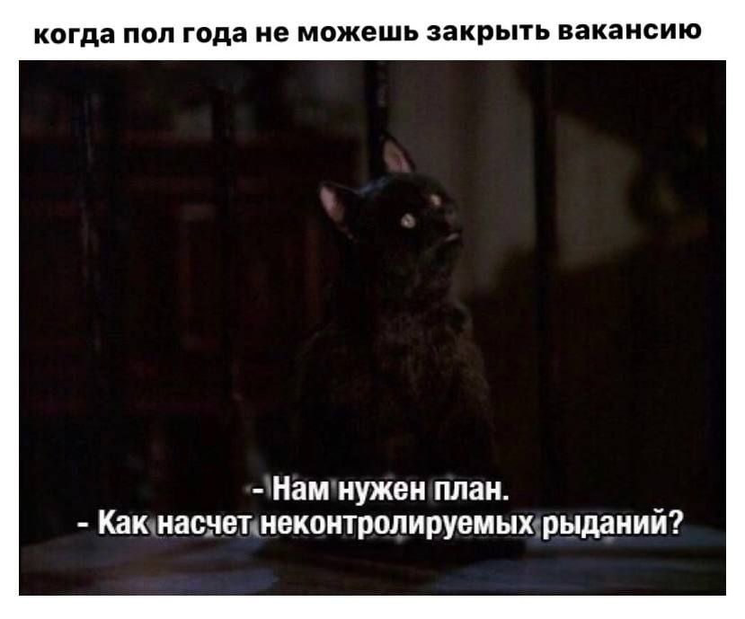 Когда полгода не можешь закрыть вакансию… | Сетка — социальная сеть от hh.ru