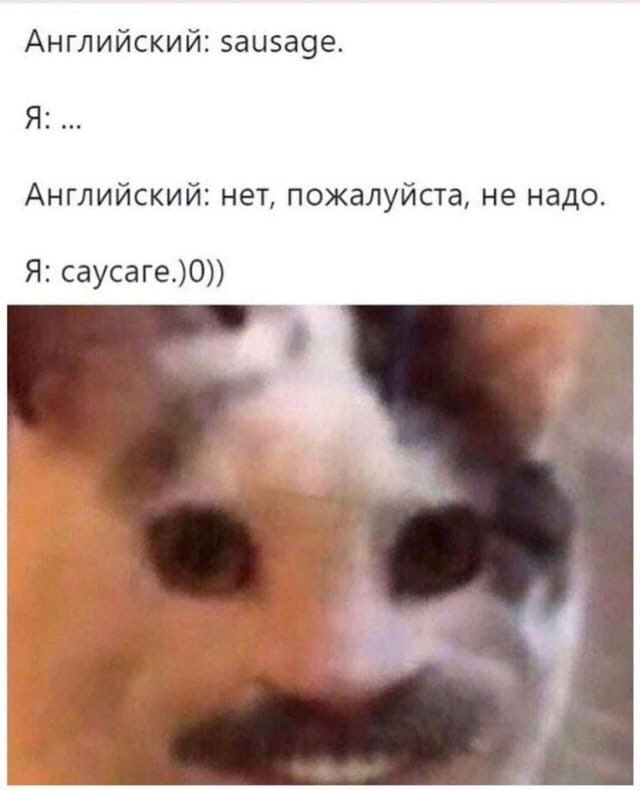 ✔️ А как ещё же?
Бот для изучения английского: https://t.me/MerlinUchiBot?start=channel | Сетка — социальная сеть от hh.ru