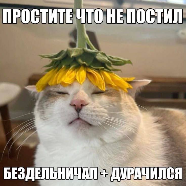 Сегодня восстанавливаемся!
#мемы | Сетка — социальная сеть от hh.ru