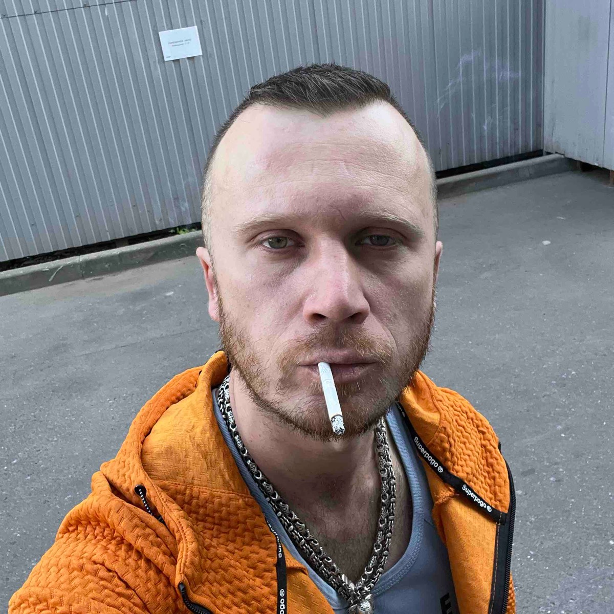 Андрей Кольцов