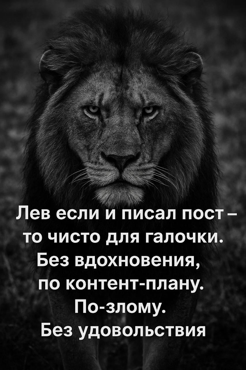 🦁✊ | Сетка — социальная сеть от hh.ru