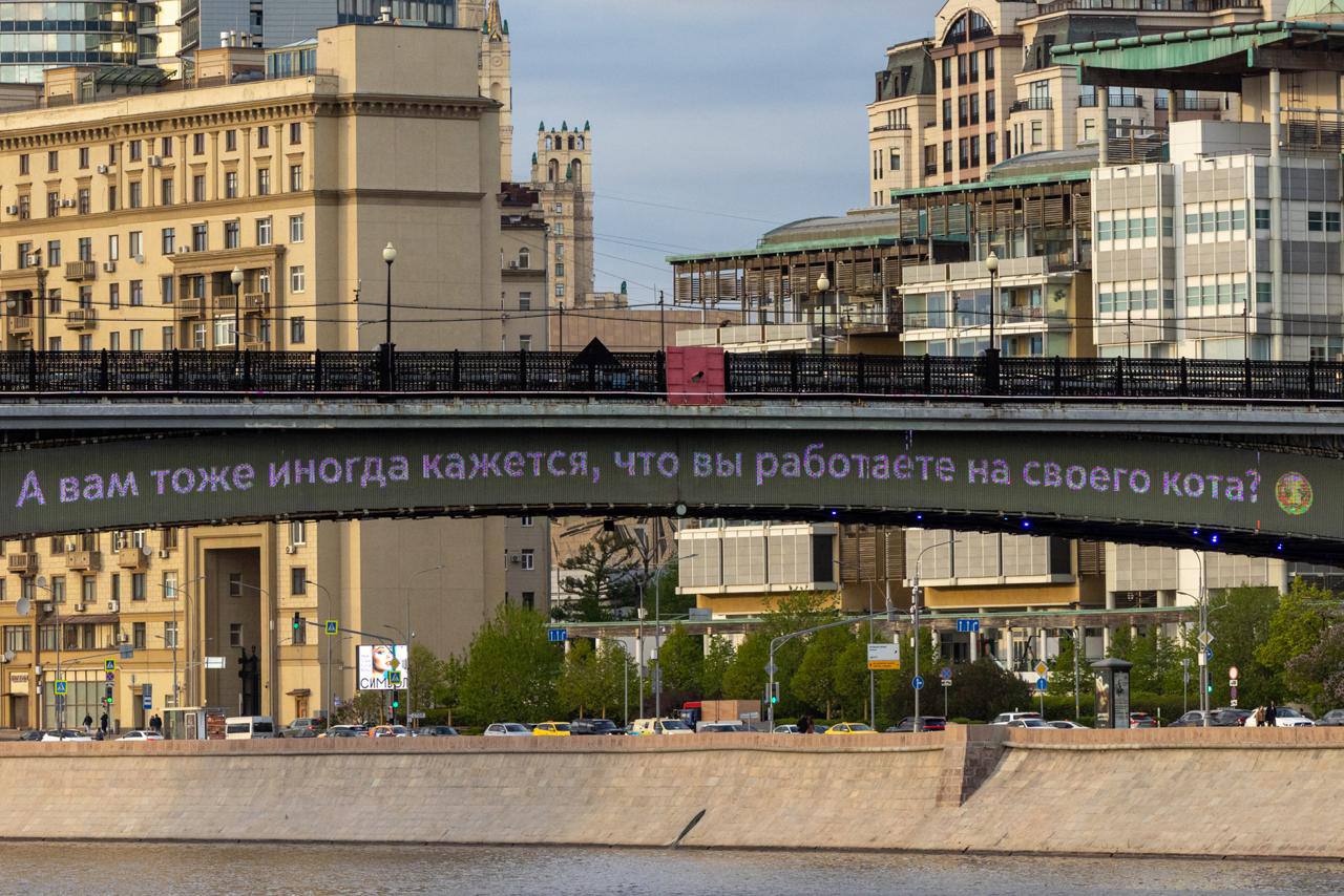 А вам тоже иногда кажется, что вы работаете на своего кота? 😏
😢 — да
😎 — нет
📲Подпишитесь на Вдвижении | Сетка — социальная сеть от hh.ru