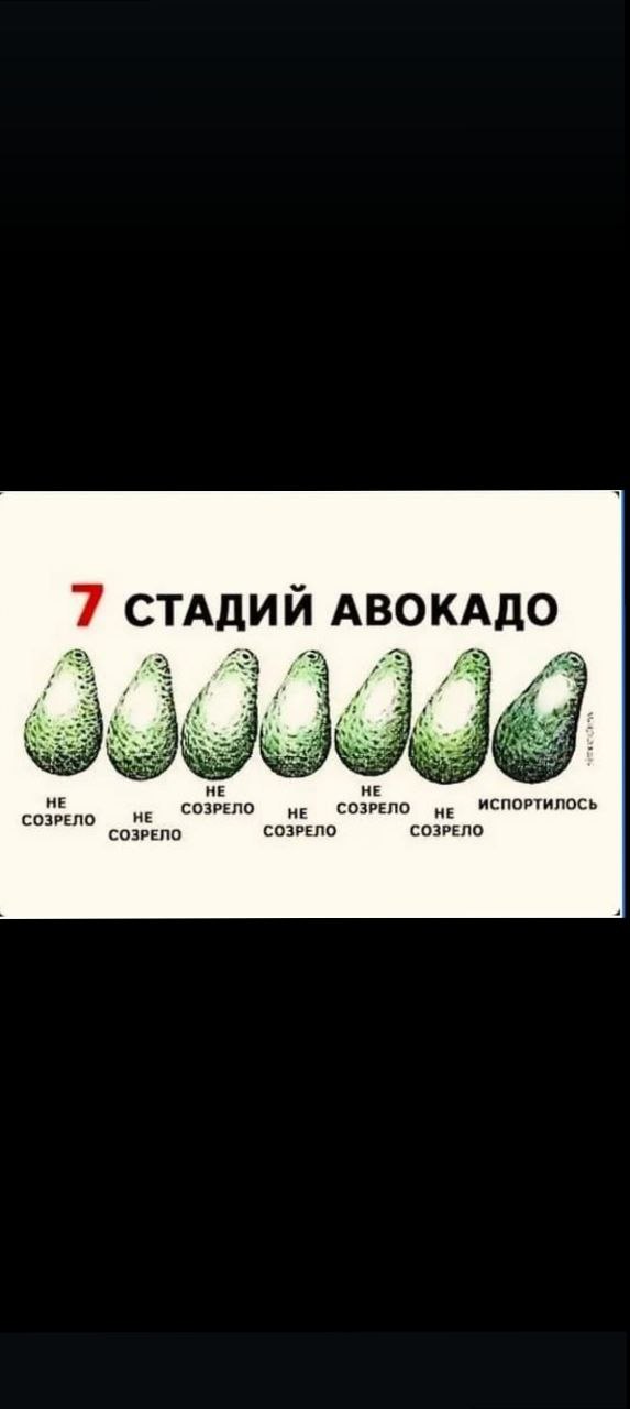 Кто с авокадо так развлекается?
Я часто😂🤣
Родительство очень похоже на эту стадию...
Отношения с детьми... Не созрели, не созрели...Испортились | Сетка — социальная сеть от hh.ru