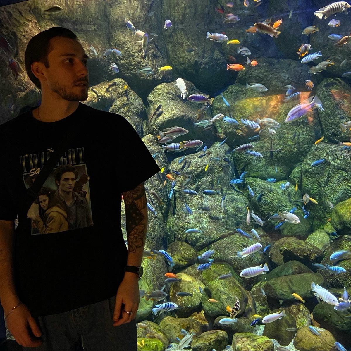 Александр Нагайцев | Сетка — социальная сеть от hh.ru