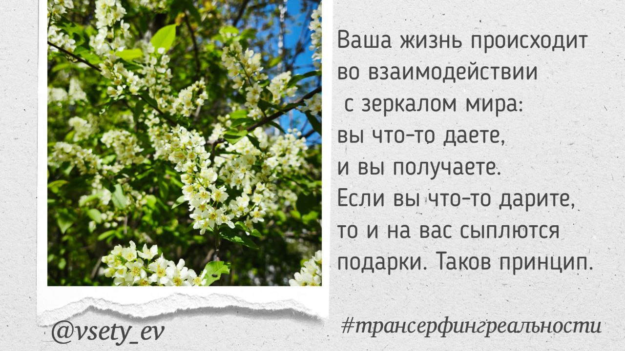 ✅Мышление
#мышление@vsetyev #мышление #мотивация
@vsetyev 🗣
✍️ @brovkinalife | Сетка — социальная сеть от hh.ru