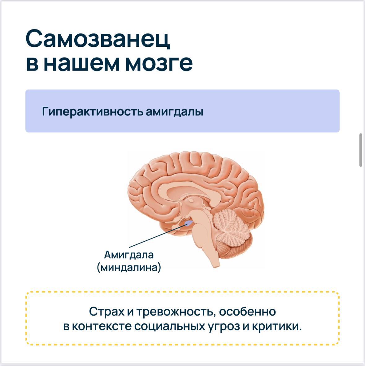 Синдром самозванца
Я с этим синдромом сталкиваюсь регулярно.
Примеры:
– Карьерные консультации | Сетка — социальная сеть от hh.ru