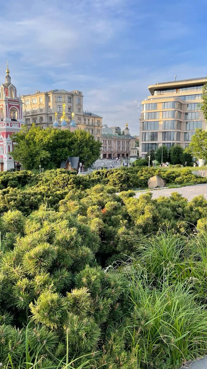 🌳 Парки и скверы Москвы обработаны от клещей — сообщил Роспотребнадзор
Теперь можно спокойно устраивать пикники на природе и гулять с четвероногими друзьями 😌
📲Подпишитесь на Вдвижении
#активныйотдых | Сетка — социальная сеть от hh.ru