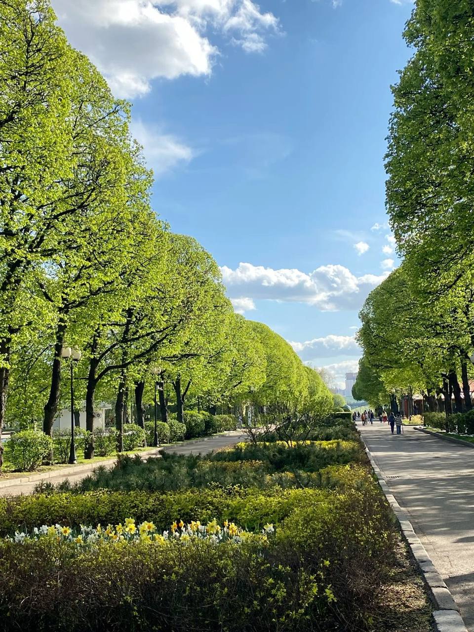 🌳 Парки и скверы Москвы обработаны от клещей — сообщил Роспотребнадзор
Теперь можно спокойно устраивать пикники на природе и гулять с четвероногими друзьями 😌
📲Подпишитесь на Вдвижении
#активныйотдых | Сетка — социальная сеть от hh.ru