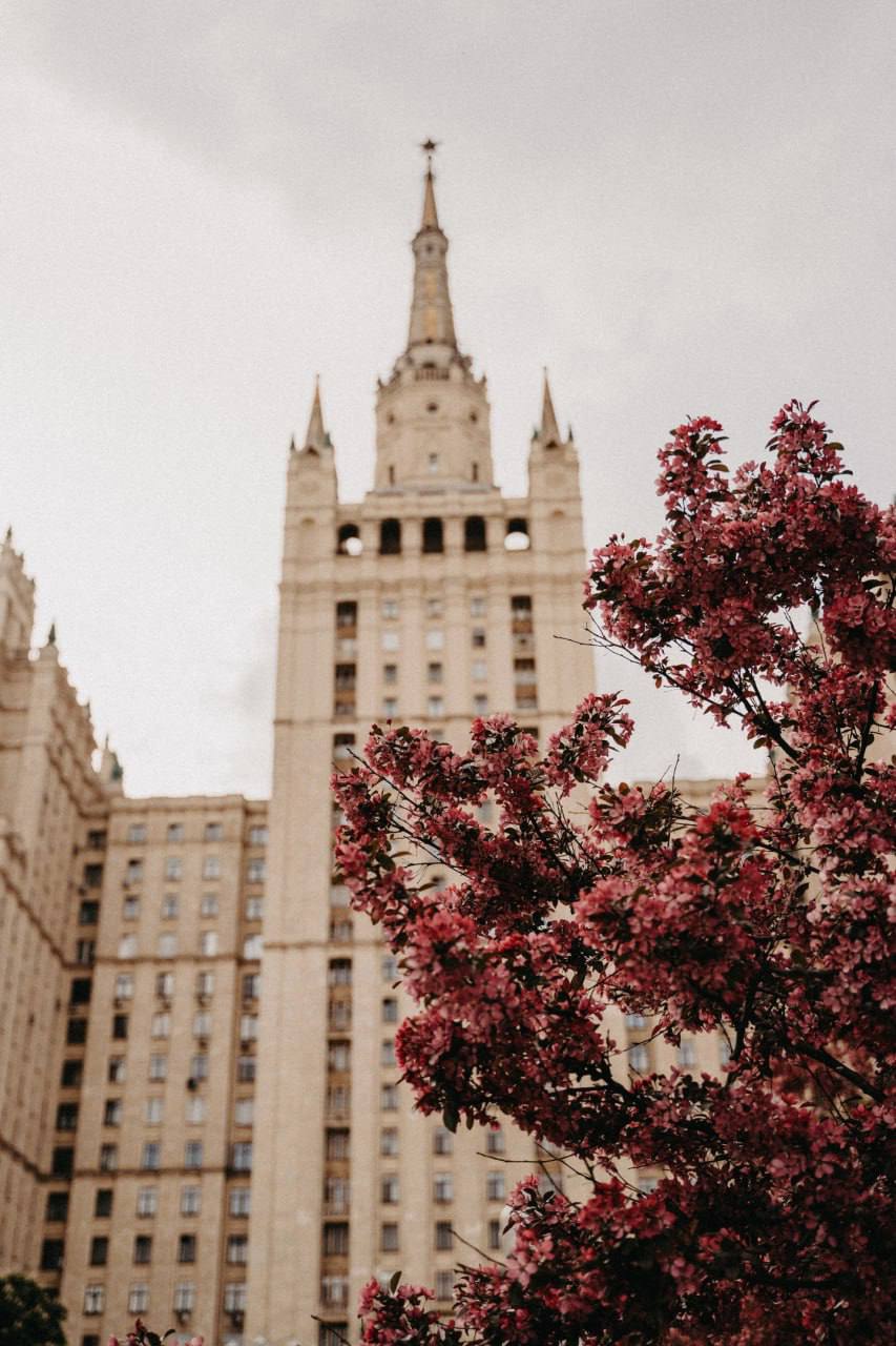 😍Атмосфера цветущей Кудринской площади
📲Подпишитесь на Вдвижении | Сетка — социальная сеть от hh.ru