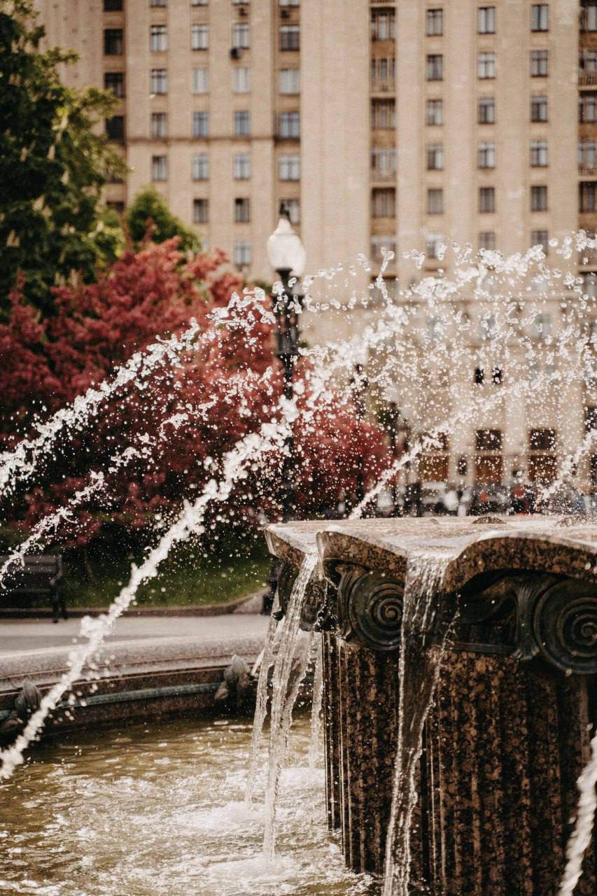 😍Атмосфера цветущей Кудринской площади
📲Подпишитесь на Вдвижении | Сетка — социальная сеть от hh.ru