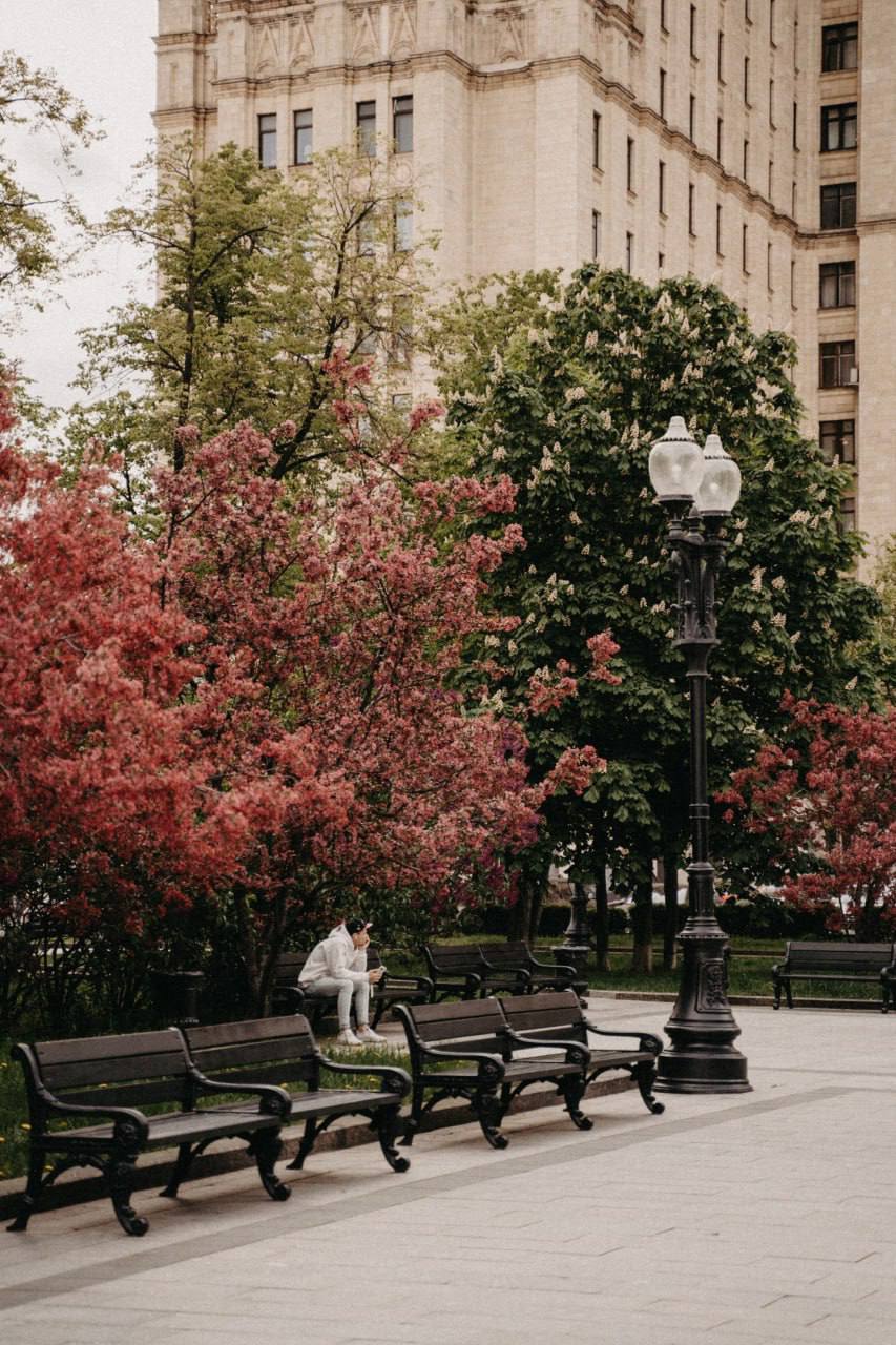 😍Атмосфера цветущей Кудринской площади
📲Подпишитесь на Вдвижении | Сетка — социальная сеть от hh.ru