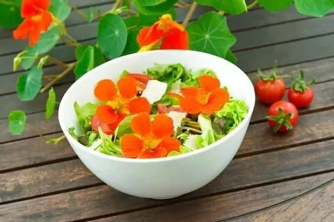 ПРИВЕТ, ДРУЗЬЯ! 👋
СЕГОДНЯ ПОГОВОРИМ О НЕОБЫЧНОМ – о вкусах съедобных цветов в микрозелени!
🌱 Вы знали, что микрозелень не только полезная, но и красивая? А еще она может удивить своими вкусами!
🌸 Каки... | Сетка — социальная сеть от hh.ru