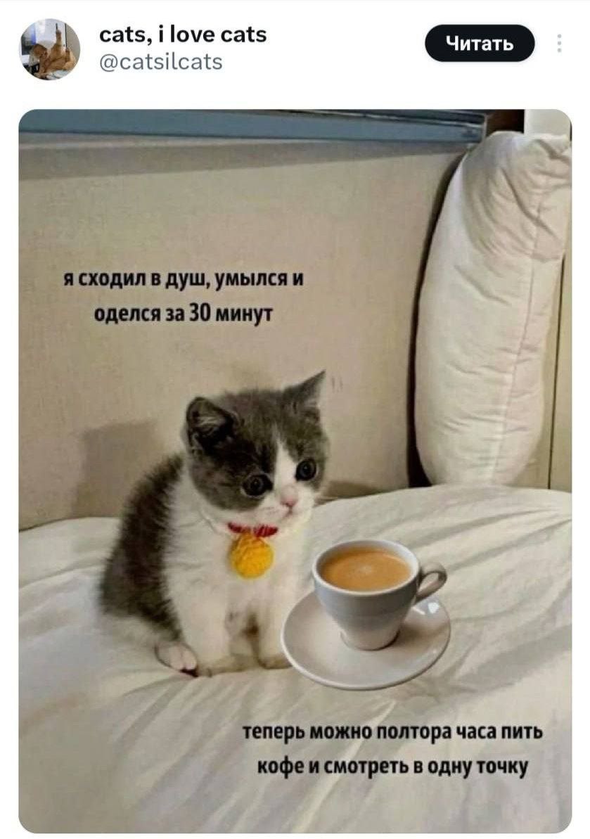 Я буквально сейчас ☕️ | Сетка — социальная сеть от hh.ru