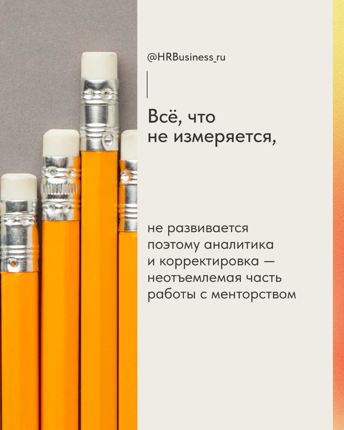 DIGITAL-НАСТАВНИЧЕСТВО | Сетка — социальная сеть от hh.ru