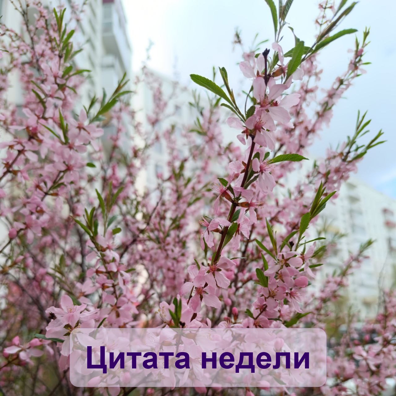 К вопросу: как вы думаете, технологии делают нас свободнее или беспомощнее?
Технологии - это не вещь в себе | Сетка — социальная сеть от hh.ru
