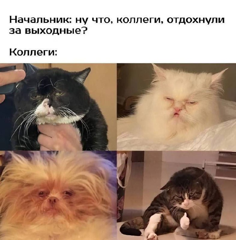 Ага, доброе утро | Сетка — социальная сеть от hh.ru