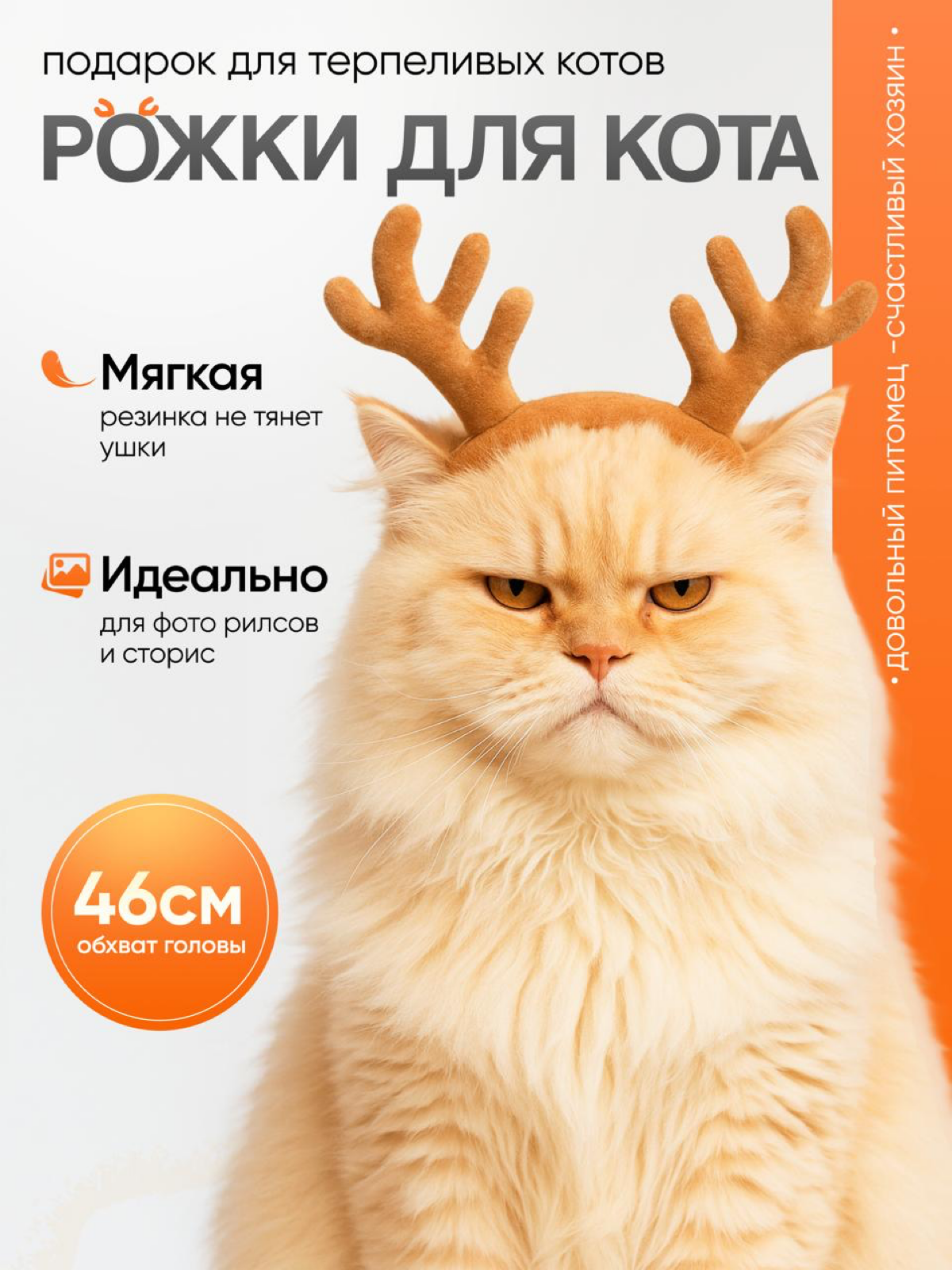 Встречаем понедельник именно с таким выражением лица!) | Сетка — социальная сеть от hh.ru