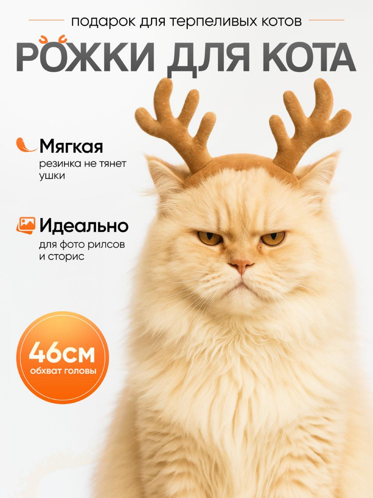Встречаем понедельник именно с таким выражением лица!) | Сетка — социальная сеть от hh.ru
