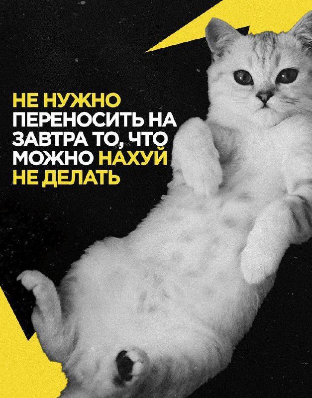 🔥 Мотивация на день!
Делаем сегодня только нужные дела!
Своровано с pinteresta | Сетка — социальная сеть от hh.ru