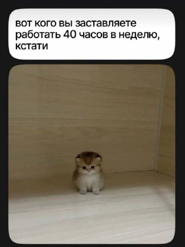 Труженики! 🐝
Набираемся сил и начинаем новую рабочую неделю 💪 | Сетка — социальная сеть от hh.ru