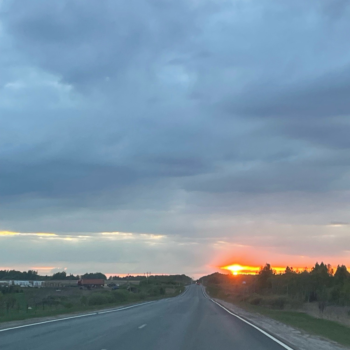 Юлия Стецкая