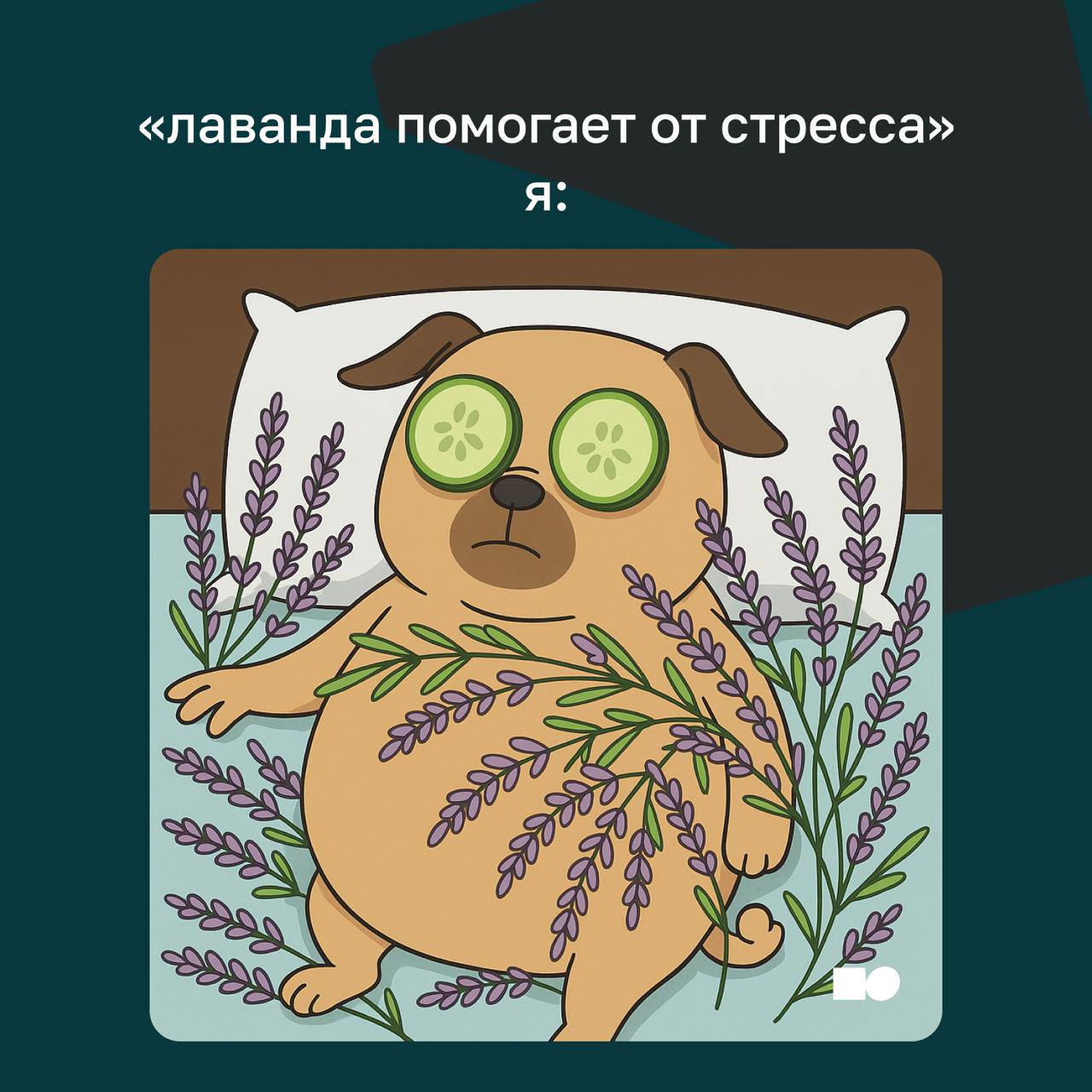 🤍 Как не сойти с ума на совещании
Понедельник. Совещание. Новая стратегия. Вы рассказываете идею — кажется, она сильная. Но в какой-то момент кто-то перебивает | Сетка — социальная сеть от hh.ru