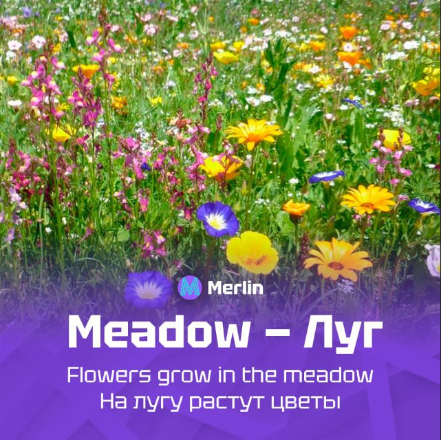 🔥 Рубрика «6 слов»
Новая подборка слов!
Бот для изучения английского: https://t.me/MerlinUchiBot?start=channel | Сетка — социальная сеть от hh.ru