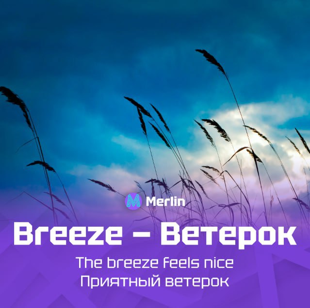 🔥 Рубрика «6 слов»
Новая подборка слов!
Бот для изучения английского: https://t.me/MerlinUchiBot?start=channel | Сетка — социальная сеть от hh.ru