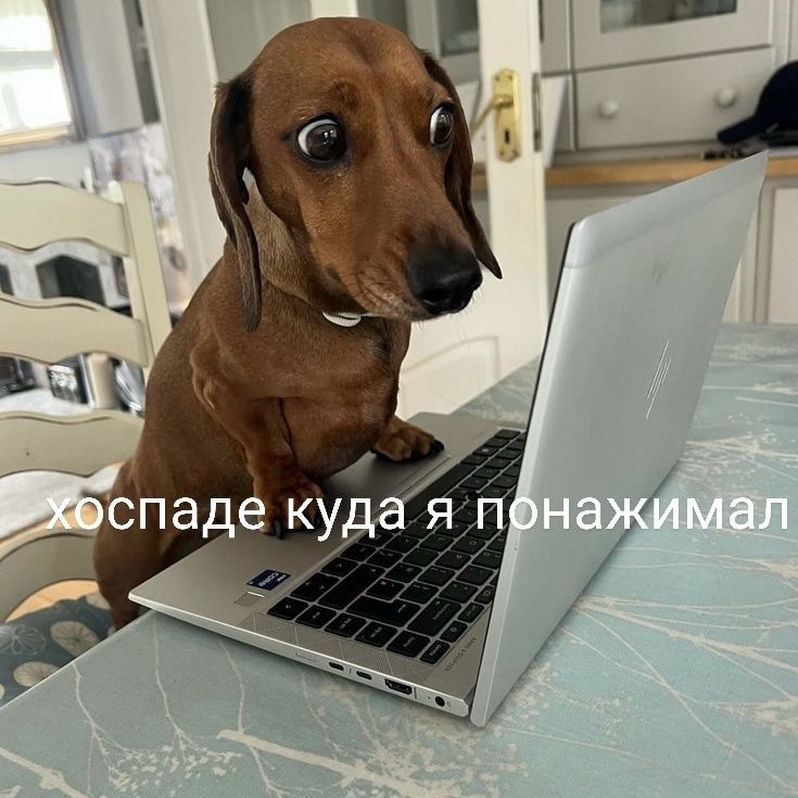 HR-аналитика без боли: что такое HR-метрики и как их мерить | Сетка — социальная сеть от hh.ru