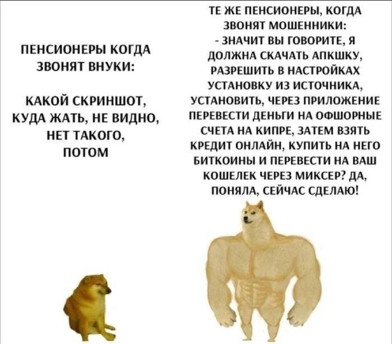 #КиберМем
⚡ Пакет Безопасности | 💬 Чат
🛍 Другие каналы | Сетка — социальная сеть от hh.ru