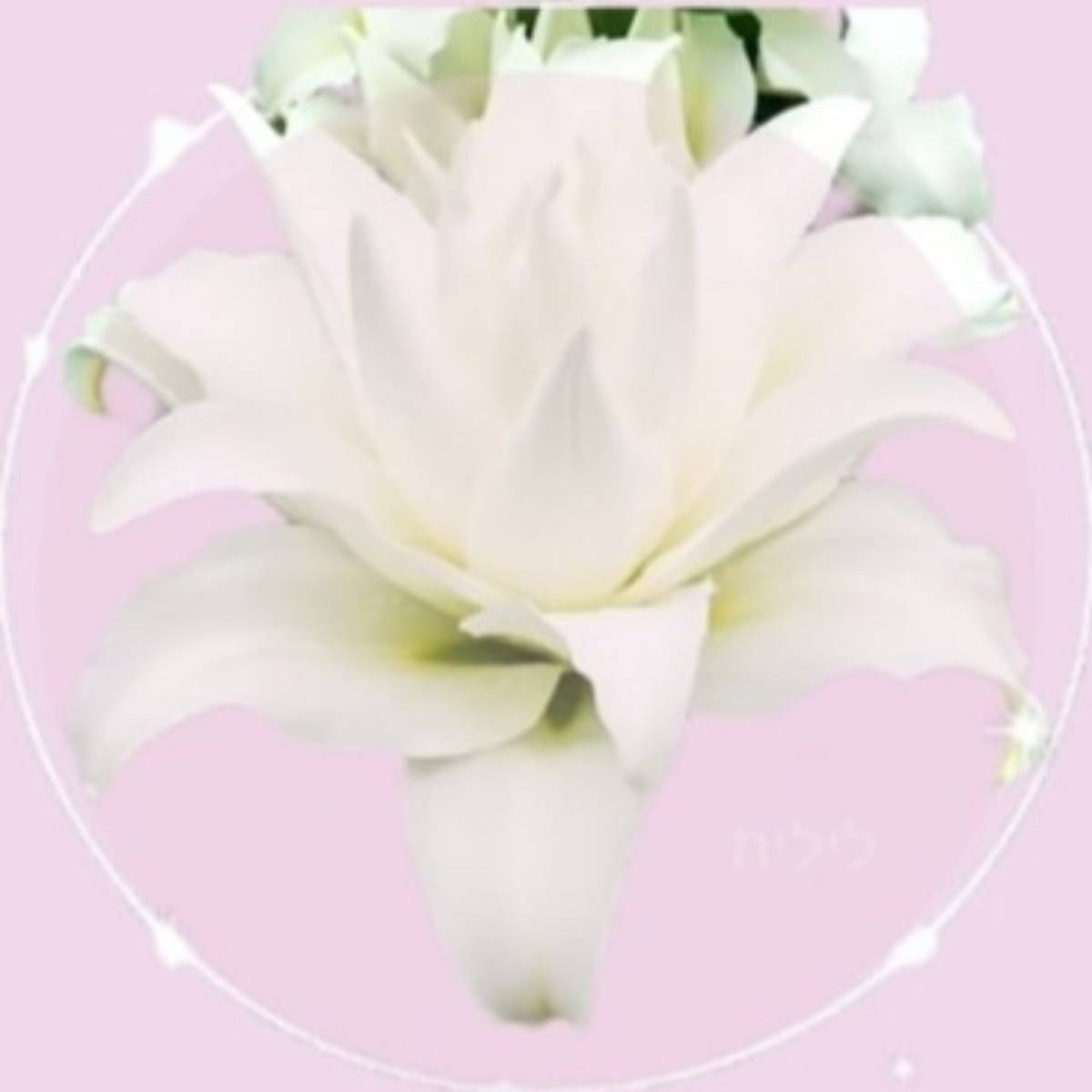 Людмила Папян