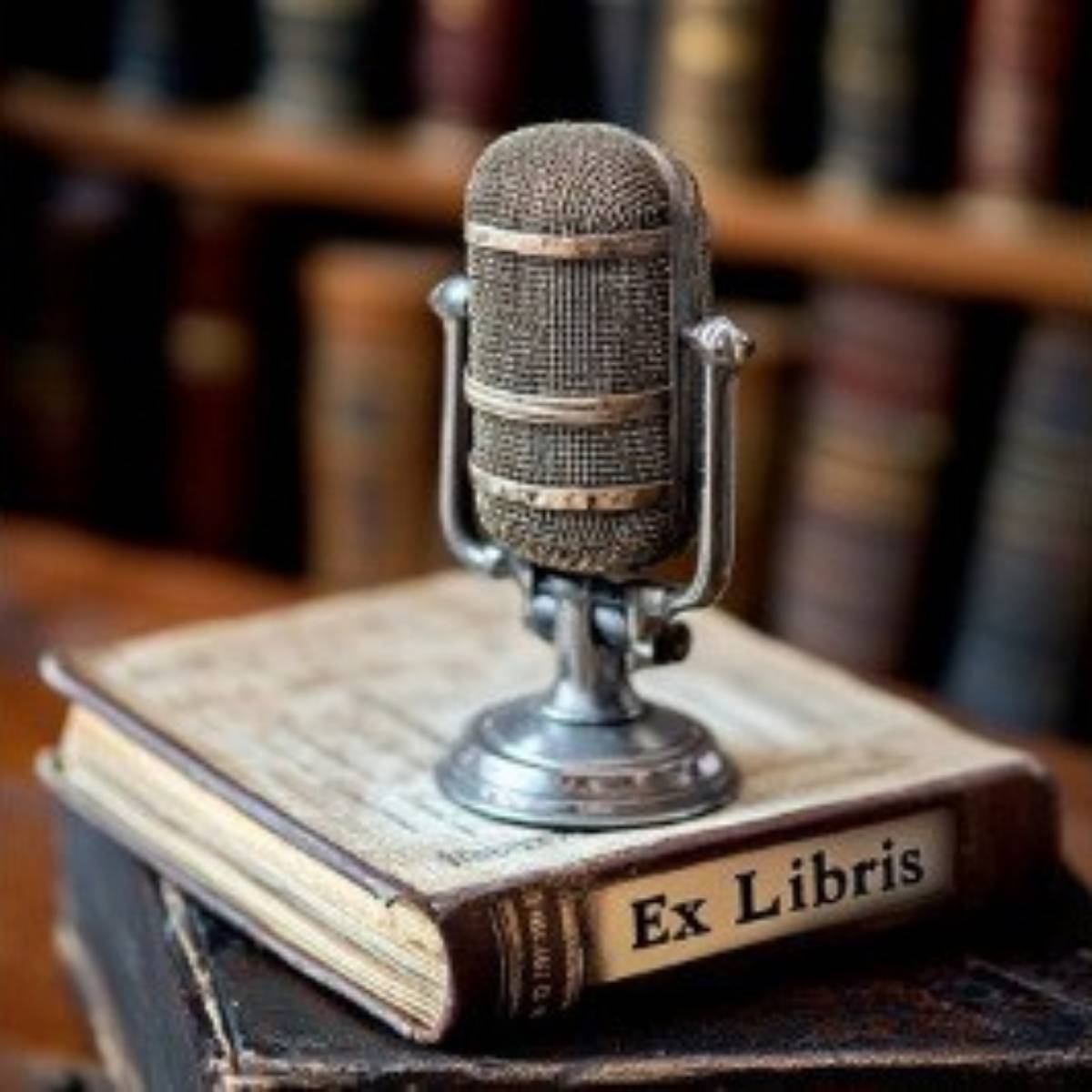 Кирилл Осипов | Сетка — социальная сеть от hh.ru