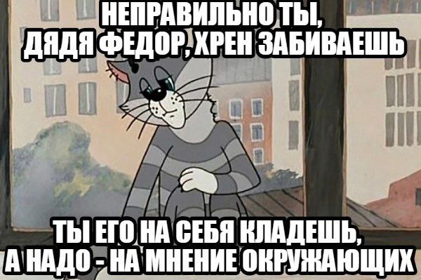 Мемный вторник
#funny | Сетка — социальная сеть от hh.ru