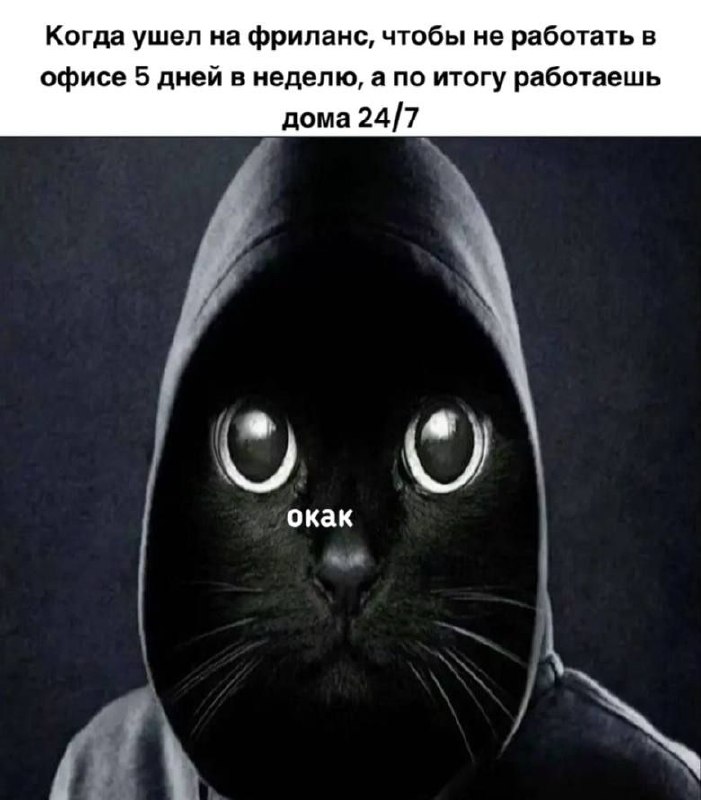Мемный вторник
#funny | Сетка — социальная сеть от hh.ru