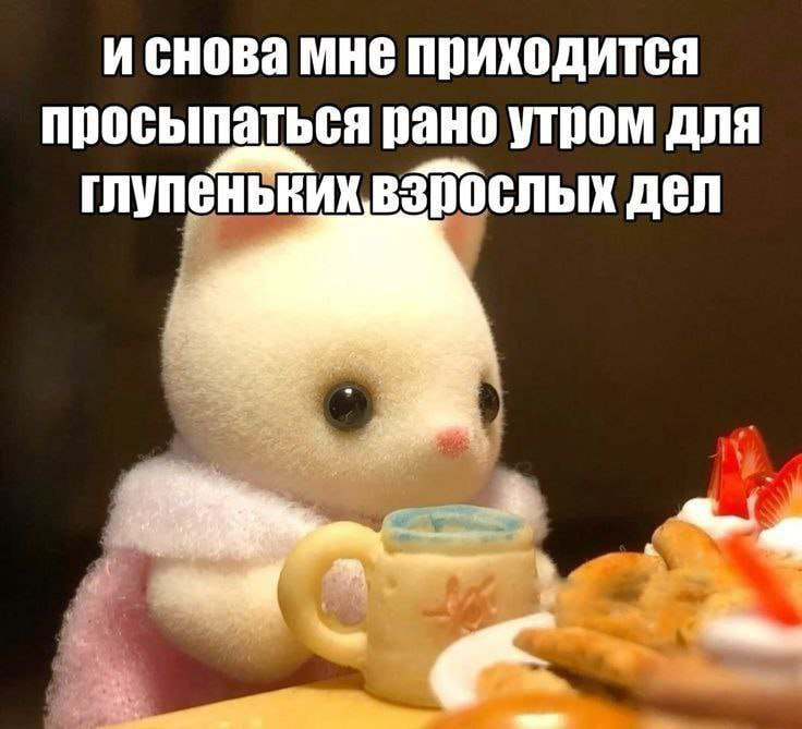 Просыпаемся и продолжаем искать работу | Сетка — социальная сеть от hh.ru