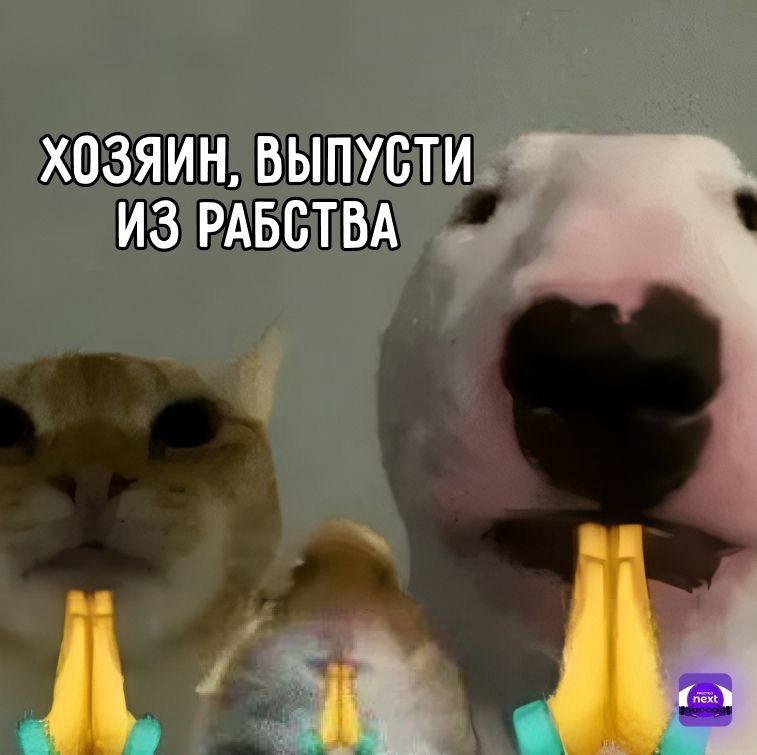 🧠 eNPS: зачем он нужен и как его считать (очень просто) | Сетка — социальная сеть от hh.ru