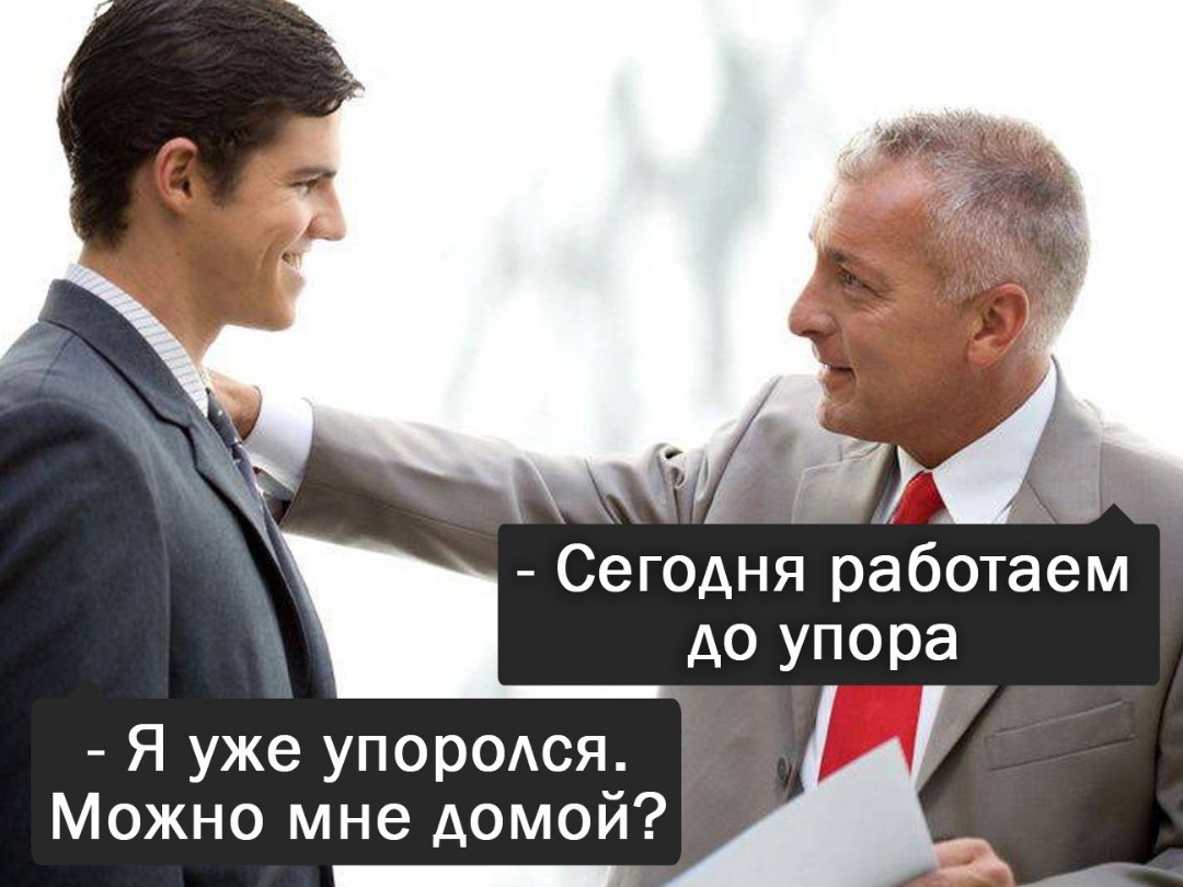 Сетка — социальная сеть от hh.ru